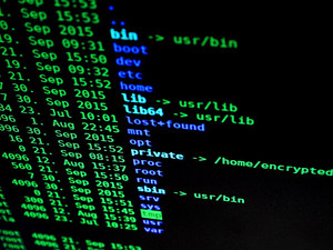 绿色信息科技的崭新篇章 自然电子产品中的集成板处理器特写