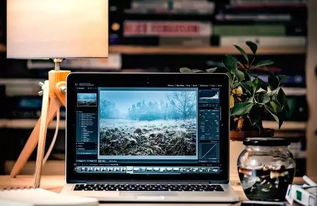 编程热潮持续 QS预测2020年计算机编程仍为前景最佳行业